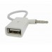 Jungties perėjimas iš AUX į USB 2.0