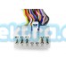 LAUNRC24, Jungtis auto. Toyota 5 + 7Pin