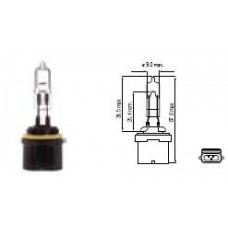 Bosma lemputė 12,8V, 50W