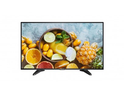 Hikvision SP 43" monitorius DS-D5043QE