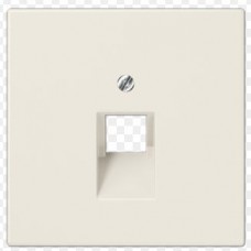 Kompiuterinio lizdo apdaila JUNG LS969-1UA (dramblio kaulo, 1xRJ45)