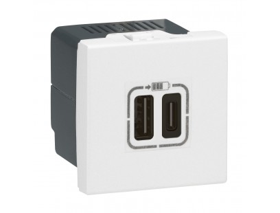 USB + USB C pakrovėjas Mosaic Legrand 077592 (5V, 3A, 15W)