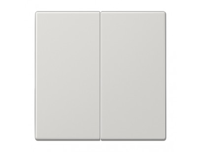 2 kl. apdaila LS990 JUNG LS995SW (pilka)