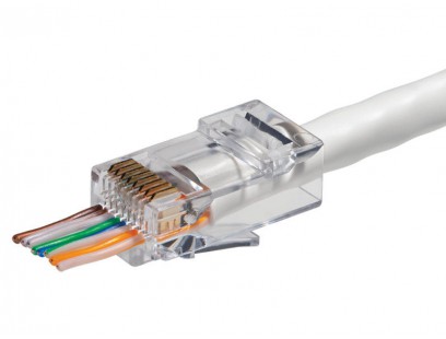 RJ45 kištukas (perkišamas, UTP, CAT5e)